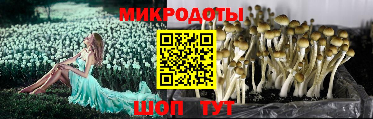 Меф   Лсд 25  Экстази  Отрадный  ГАШИШ  Вход с VPN  МАРИХУАНА  ГАШИШ  МЕТ 