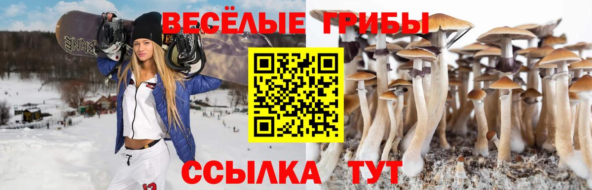 Псилоцибиновые грибы мухоморы  Вход с VPN  Отрадный 